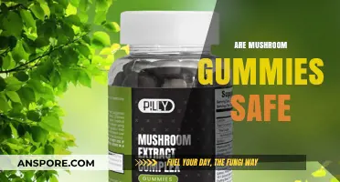 Mushroom Gummies: Safe Superfood or Health Risk?