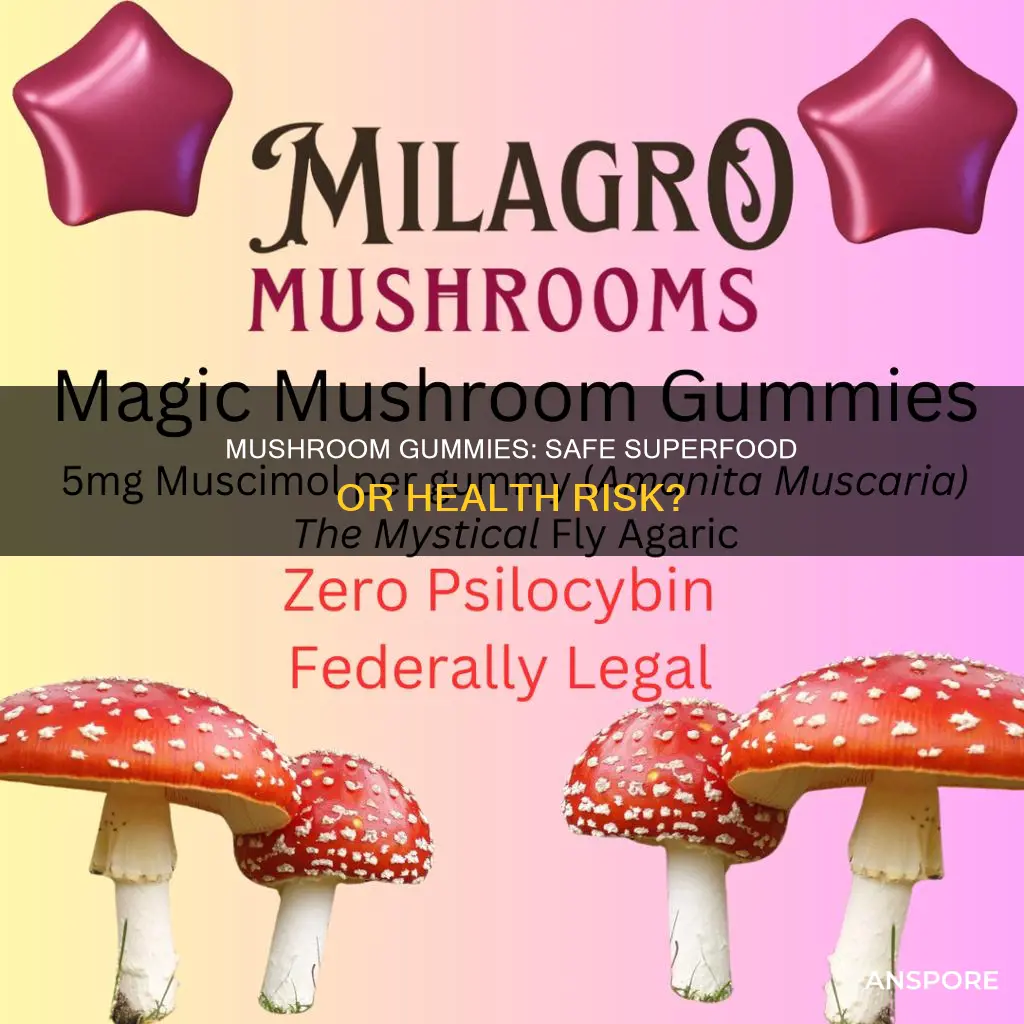 are mushroom gummies safe