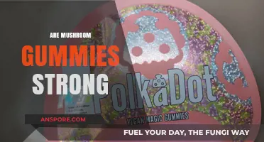 Mushroom Gummies: Do They Pack a Punch?