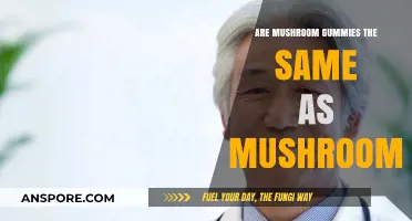 Mushroom Gummies vs. Whole Mushrooms: Are They Equally Beneficial?