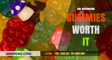 Mushroom Gummies: Worth the Hype?