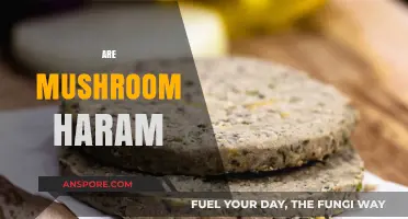 Mushrooms: Halal or Haram?