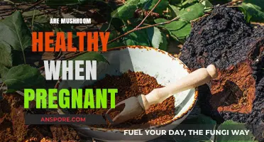 Mushrooms: Safe, Nutritional Superfood for Pregnancy