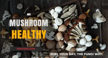 Mushrooms: Superfood or Super-risky?