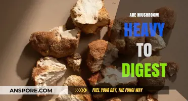 Mushrooms: Heavy or Light on the Stomach?