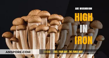Mushrooms: Rich Source of Iron?