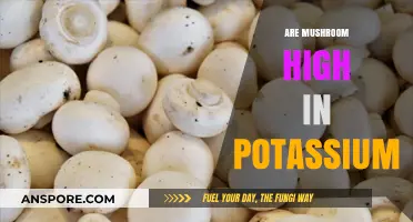 Mushroom Potassium Content: Surprising Facts Revealed
