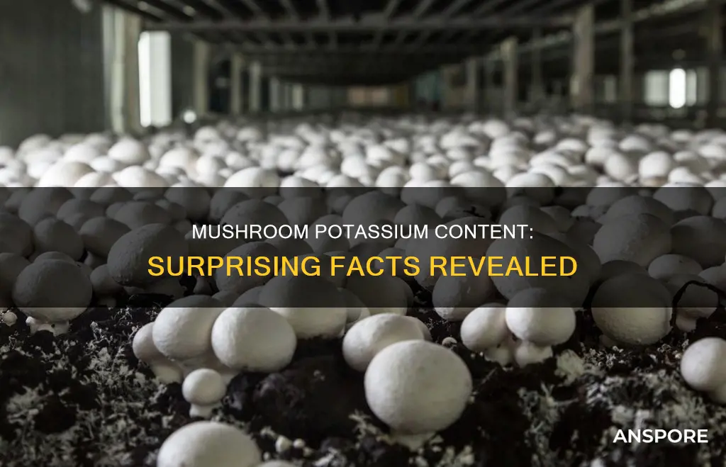 are mushroom high in potassium