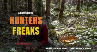Mushroom Hunters: Nature's Freaks or Foragers?