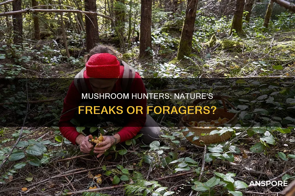 are mushroom hunters freaks