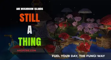 Are Mushroom Islands Still a Thing in Minecraft?