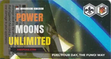 Exploring the Limits: Are Mushroom Kingdom Power Moons Unlimited?