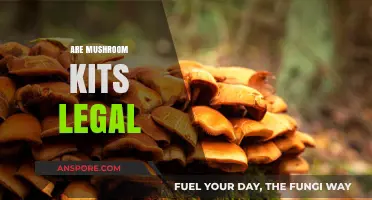 Are Mushroom Kits Legal? Exploring the Legality of Home Cultivation