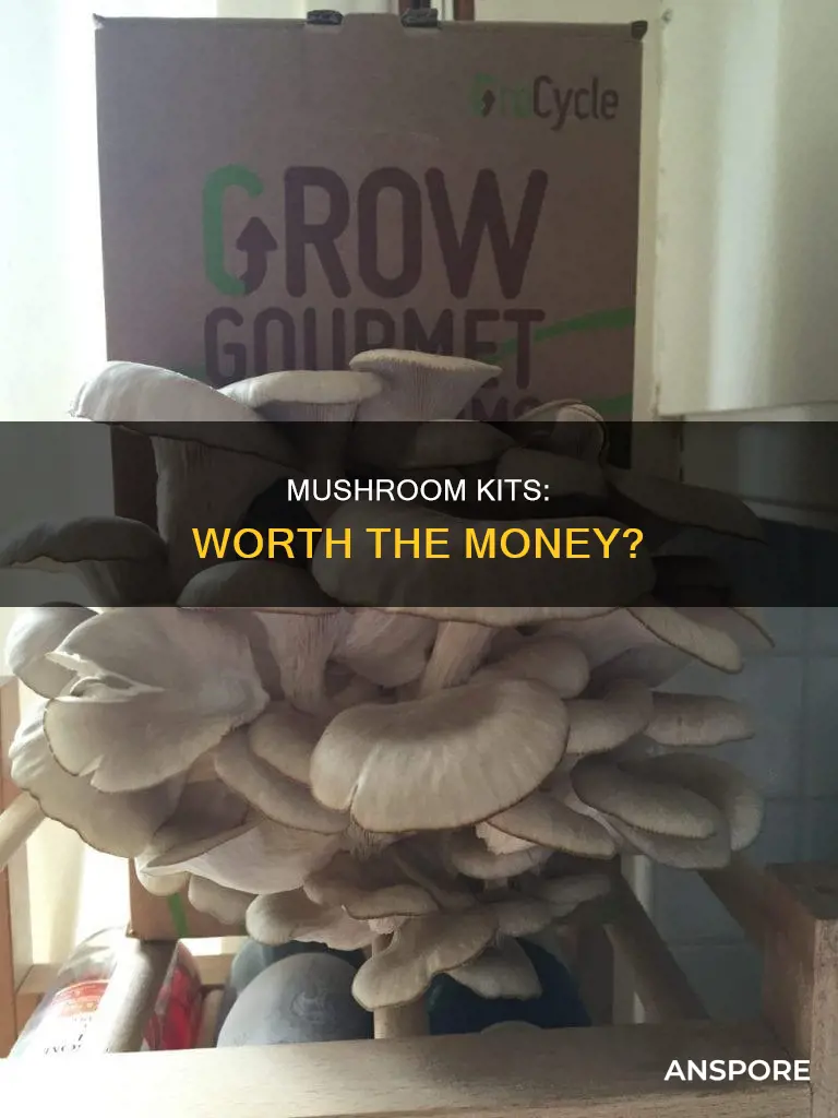 are mushroom kits worth it