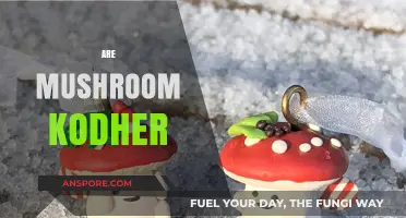 Mushroom Nutrition: Are They Good for Health?
