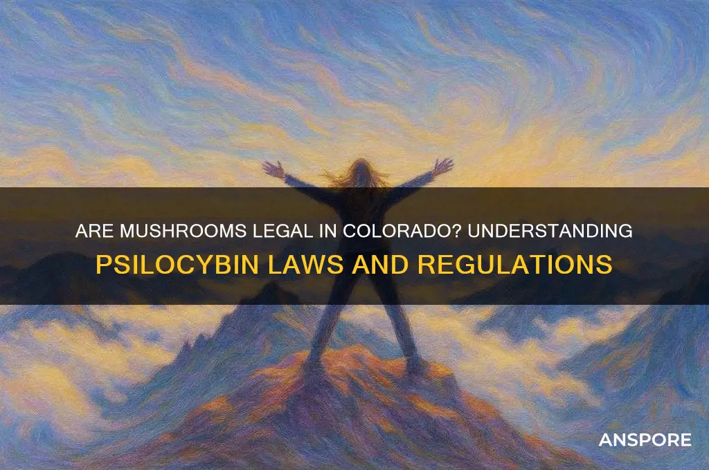 are mushroom legal in colorado