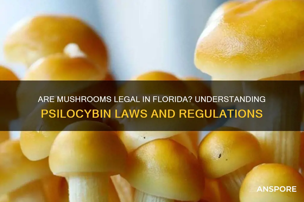are mushroom legal in florida
