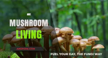 Mushrooms: Are They Alive or Not?