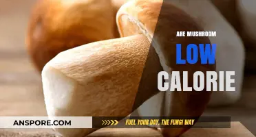 Mushrooms: Low-Calorie Superfood?