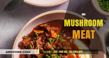 Mushrooms: The Meat of the Vegetable World?