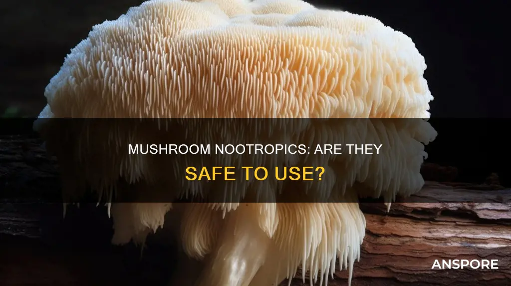 are mushroom nootropics safe