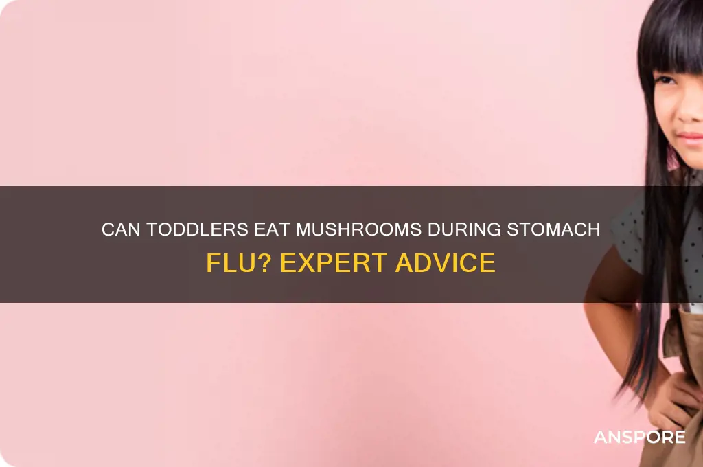 are mushroom ok for stomach flu for toddlers