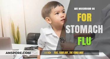 Can Mushrooms Help or Hurt During Stomach Flu Recovery?