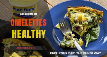 Mushroom Omelettes: Healthy Breakfast Superfood?
