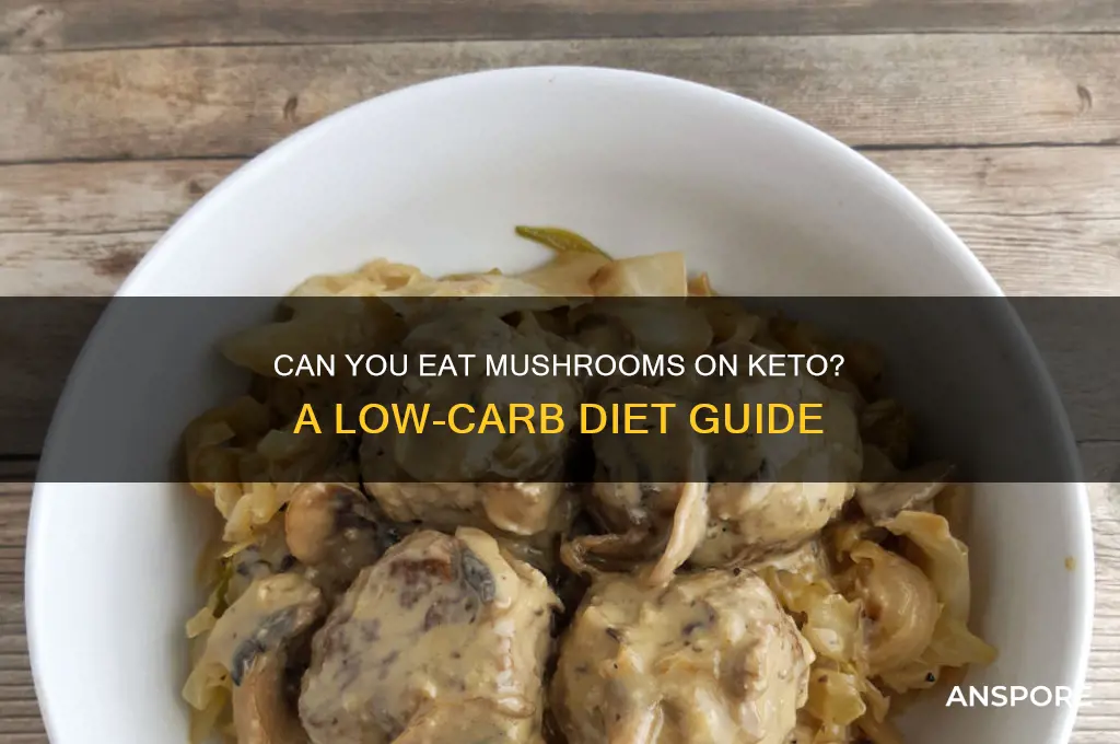are mushroom on the keto diet