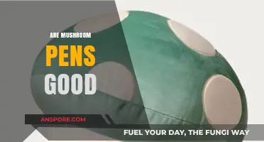 Are Mushroom Pens Eco-Friendly and Effective Writing Tools?