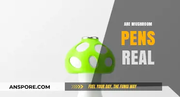 Mushroom-Based Stationery: Fact or Fiction?