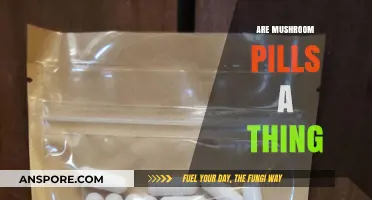 Mushroom Pills: A Natural Health Revolution?