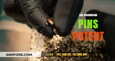 Mushroom Pins: Potent or Placebo?