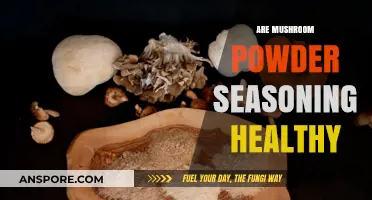 Mushroom Powder Seasoning: Healthy or Hype?