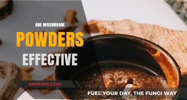 Mushroom Powders: Effective Superfood or Just a Fad?