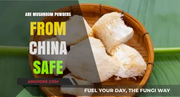 Are Chinese Mushroom Powders Safe? A Comprehensive Health Analysis