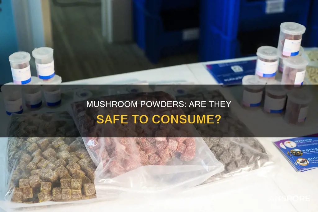 are mushroom powders safe