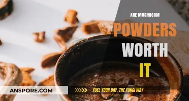 Mushroom Powders: Superfood or Super-Hype?