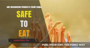 Are Chinese Mushroom Products Safe for Consumption? A Detailed Analysis