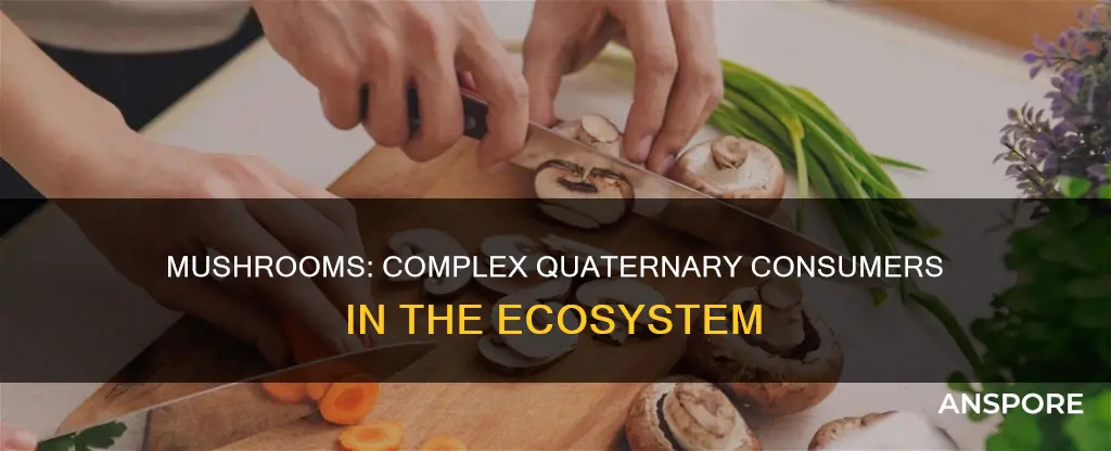 are mushroom quaternery consuers