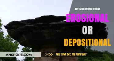 Mushroom Rocks: Erosional or Depositional Landforms Explained