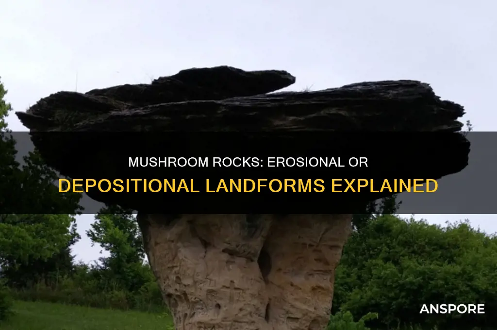 are mushroom rocks erosional or depositional