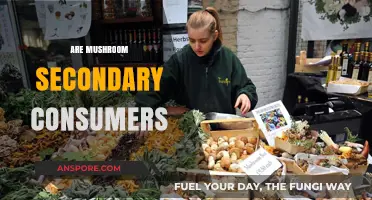 Mushrooms: Understanding Their Place in the Food Chain