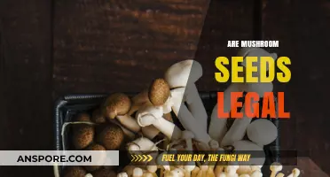 Are Mushroom Seeds Legal? Exploring the Legality of Fungal Spores