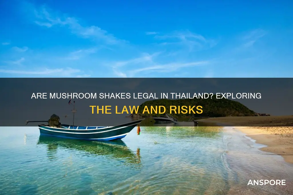 are mushroom shakes illegal in thailand