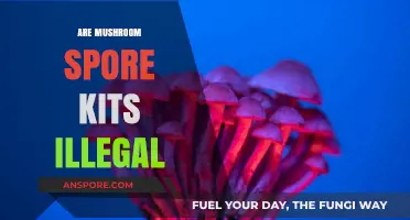 Mushroom Spore Kits: Legal or Not?