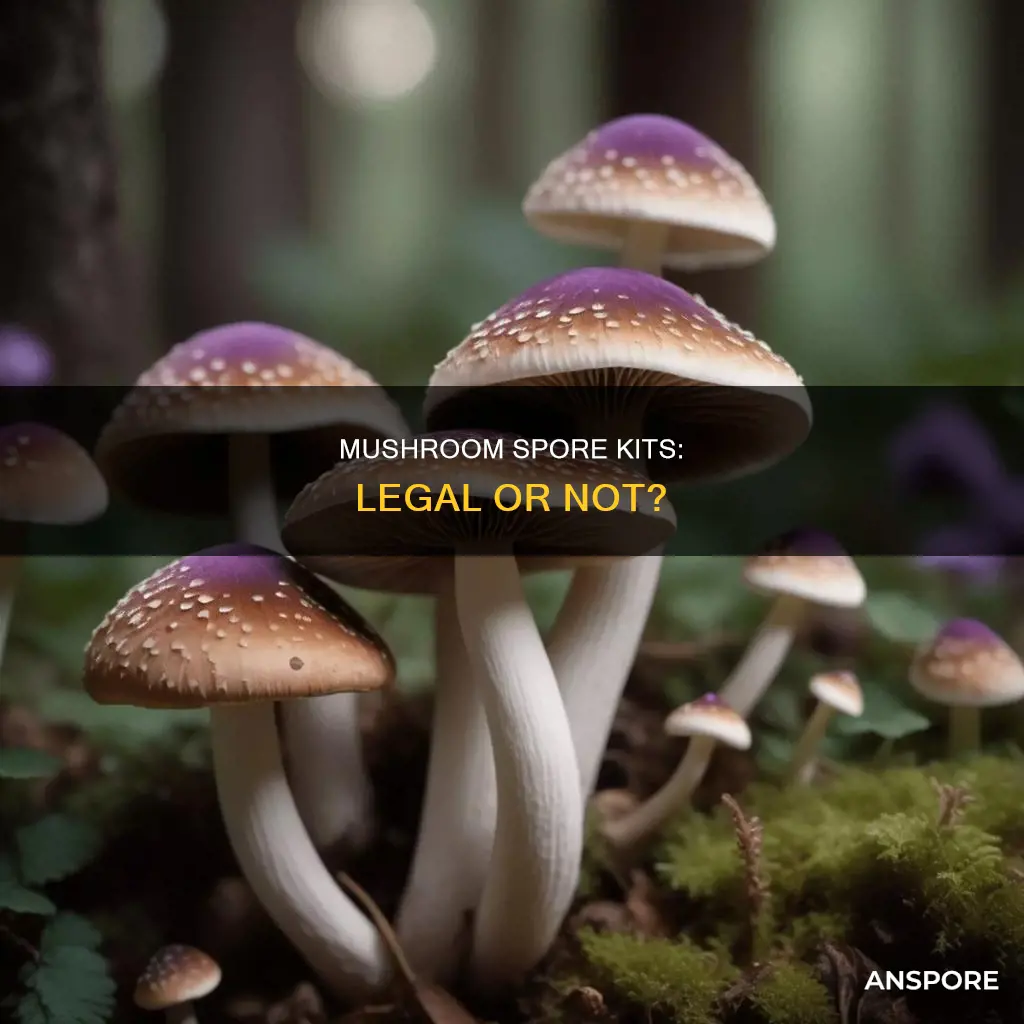are mushroom spore kits illegal
