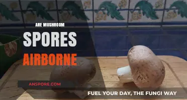 Mushroom Spores: Are They Airborne?