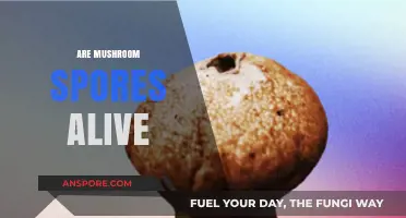 Mushroom Spores: Living or Non-Living?
