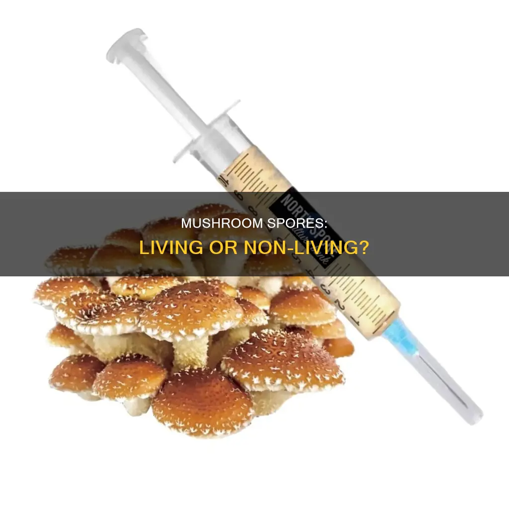 are mushroom spores alive